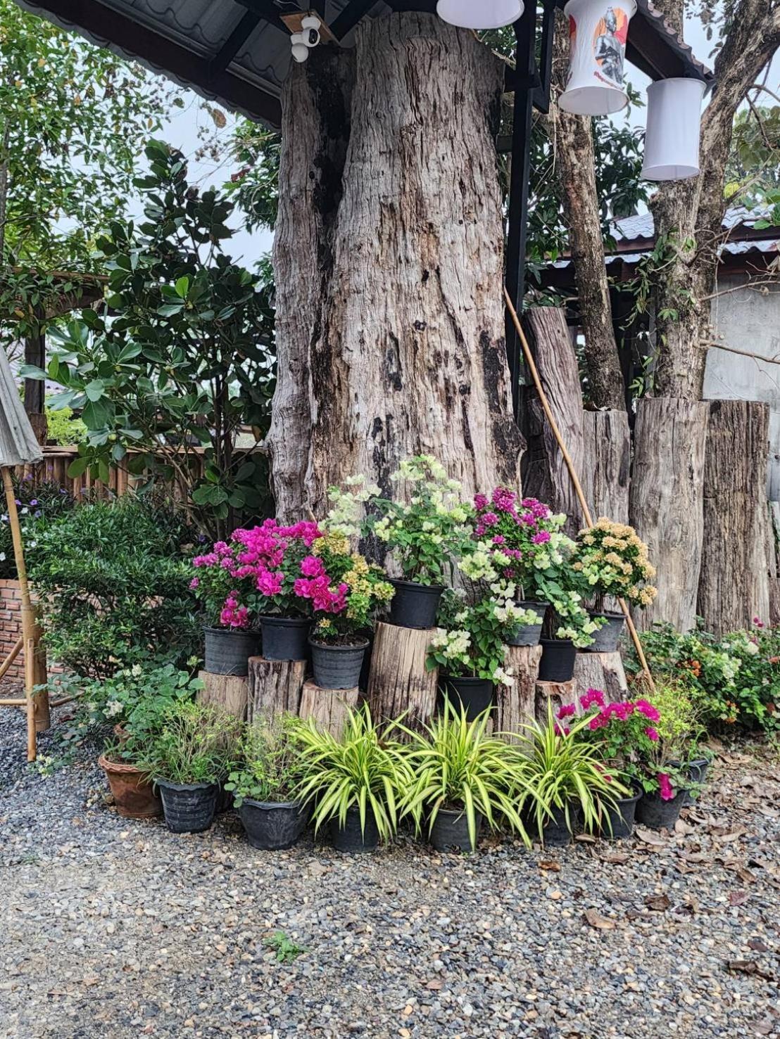 Suk Sabai Homestay Sukhothai Exterior photo